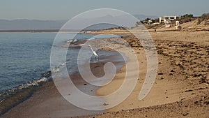 Sandy beach on the shore of the Sea of Cortes, La Ventana Bay, BCS, Mexico