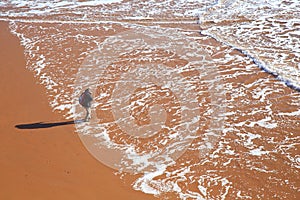 Sandy beach in Sidmouth, Devon