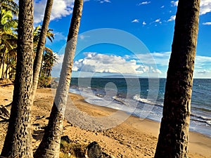 Sandy beach in South Kihei, Maui