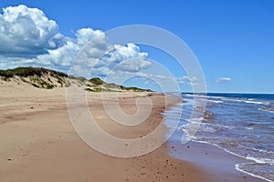 Sandy beach stretching along Atlantic coast at PEI National Park