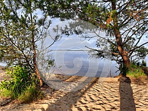 Sandy beach in sunrise blue water on Lake of Biscarrosse in landes france photo