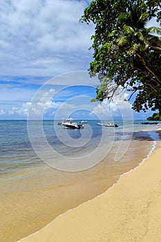 Sandy beach on Taveuni Island, Fiji