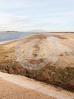 sandy beach texture dunes coast nature reserve plain background