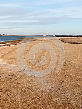 sandy beach texture dunes coast nature reserve plain background