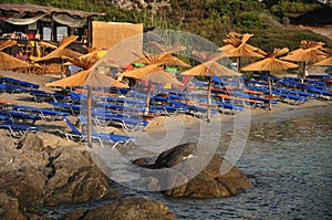 Sandy beach with thatched parasols and deck chairs