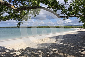 Sandy Beach of Tortuga Bay in the Galapagos Islands