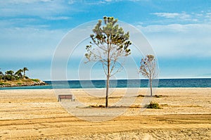 Sandy beach with trees and bench on shore of gulf in Athens, Greece