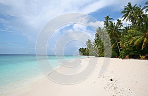 Sandy beach and tropical sea