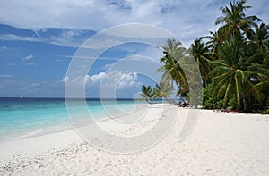 Sandy beach and tropical sea