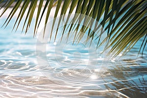 Sandy beach under a palm tree on a sunny day.