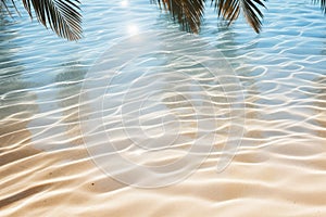 Sandy beach under a palm tree on a sunny day.