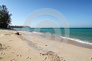 sandy beach with vegetation on turquoise sea and blue sky with clouds background