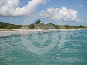 Sandy beach on Vieques Island