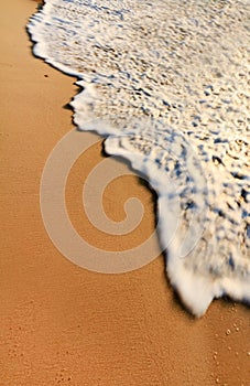 Sandy beach with wave