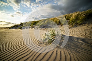 A sandy beach with wavy sand