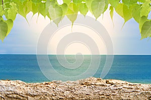 Sandy beaches with logs and foliage, tropical bokeh beach backgrounds , summer vacations and travel ideas
