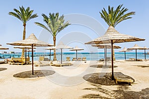 Sandy beaches with parasols on the Red sea