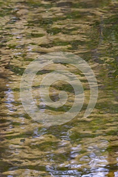 Sandy bottom of stream and reflection in water
