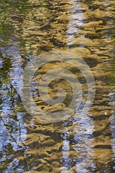 Sandy bottom of stream and reflection in water