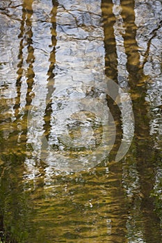 Sandy bottom of stream and reflection in water