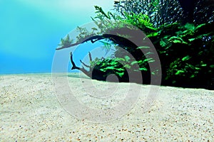 Sandy bottom underwater, nature background texture