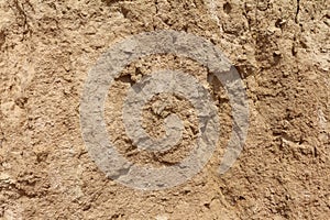 Sandy clay soil. The natural texture of the ground on the sea shore, close up. Abstract background.