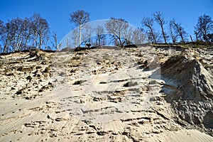 sandy cliff on the dunes by the beach on the Baltic Sea on the island of Wolin photo