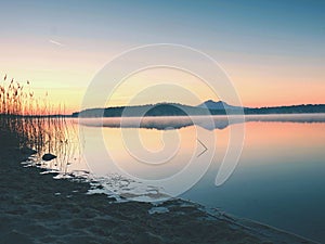 Sandy coast and bush flowers. Sunset at coastline, calm water level without waves