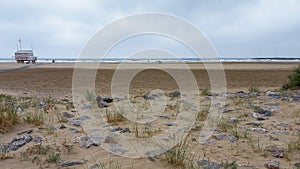 Sandy coast panoramic and lifeguard rescue french station on sand beach wooden hut security white of Gruissan in south france