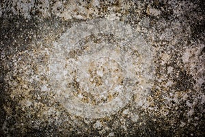 Sandy Concrete Texture