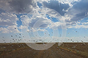 Sandy country road in the salt desert landscape on a hot summer