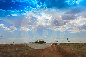 Sandy country road in the salt desert landscape on a hot summer