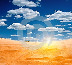 Sandy desert