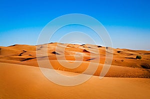 Sandy desert