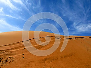 Sandy Desert Dunes