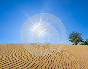 sandy desert at hot sunny day