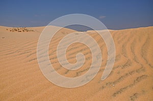 Sandy desert in Mui Ne, Vietnam