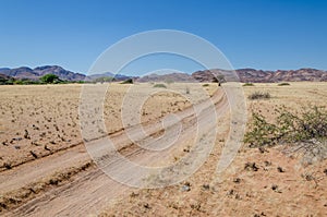 Sandy desert track leading through arid landscape towards rocky hills, Namib Desert, Angola