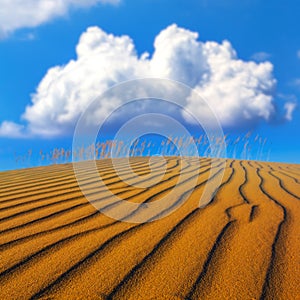 sandy desert under a cumulus clouds