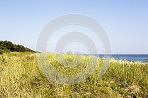 Sandy dune covered with the grass