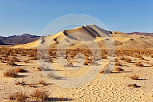 The sandy dune in Dead Walley