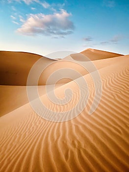 a sandy dune with the desert at the edge of it