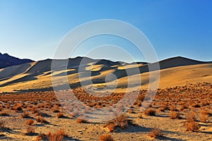 The sandy dune Eureka in desert