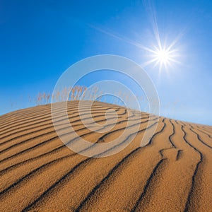 Sandy dune in light of sparkle sun