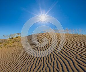 Sandy dune under a sparkle sun
