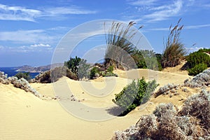 Sandy dunes