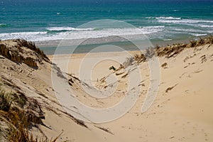 Sandy dunes access to natural wild beach in Le porge jenny near Lacanau France