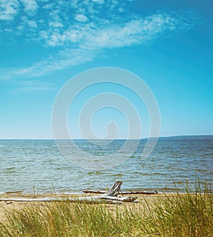 Sandy dunes with driftwood near Lake Superior