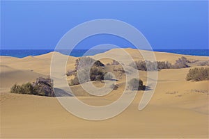 Sandy dunes of Maspalomas, Gran Canaria