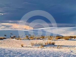 Sandy dunes in the White Sands National Park in New Mexico, USA